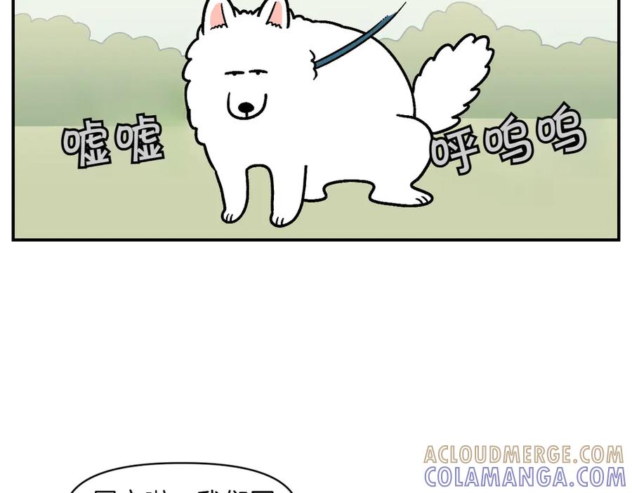 第9话早间流程-我的狗子叫棉花-milo+Polarfox（第30张）