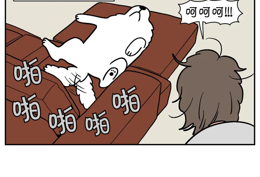 第9话早间流程-我的狗子叫棉花-milo+Polarfox（第17张）