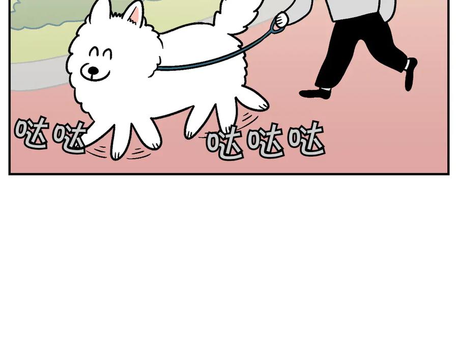 第9话早间流程-我的狗子叫棉花-milo+Polarfox（第28张）