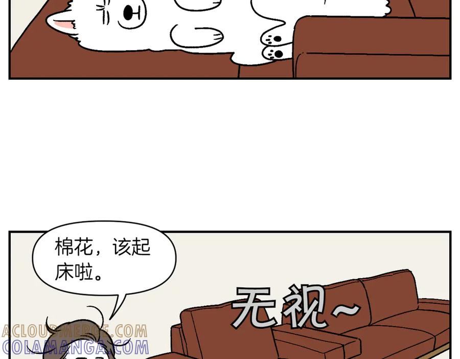 第9话早间流程-我的狗子叫棉花-milo+Polarfox（第24张）