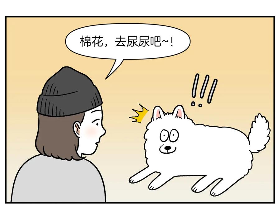 第10话晚间流程-我的狗子叫棉花-milo+Polarfox（第8张）