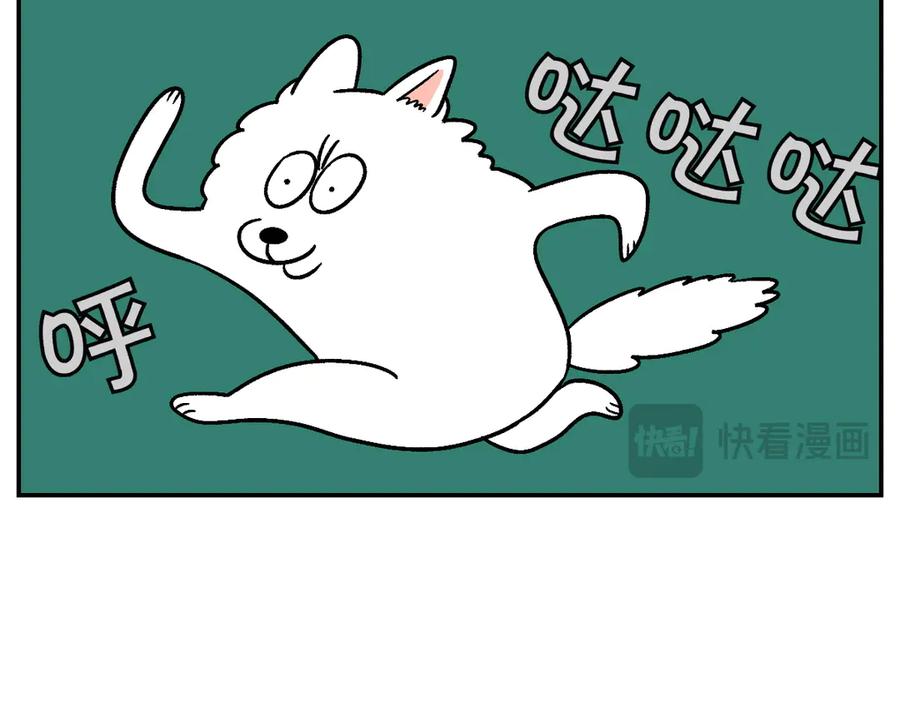 第10话晚间流程-我的狗子叫棉花-milo+Polarfox（第11张）