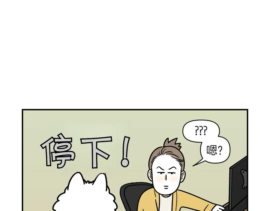 第10话晚间流程-我的狗子叫棉花-milo+Polarfox（第13张）