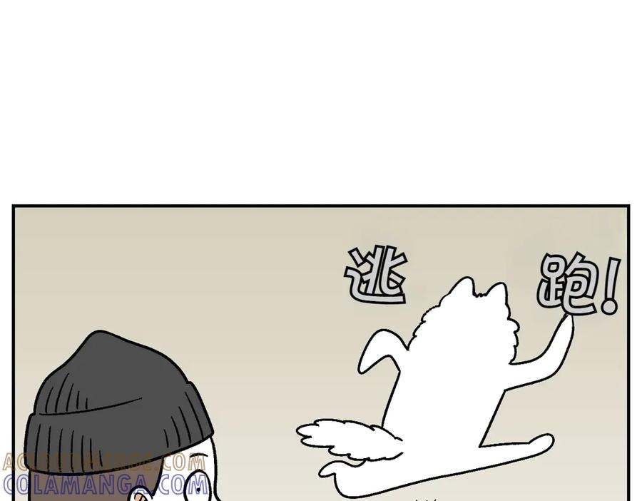 第10话晚间流程-我的狗子叫棉花-milo+Polarfox（第9张）