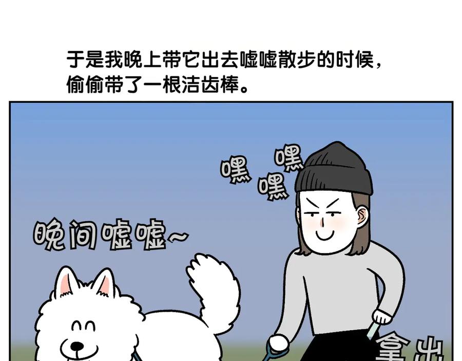 第11话狗咬胶-我的狗子叫棉花-milo+Polarfox（第7张）