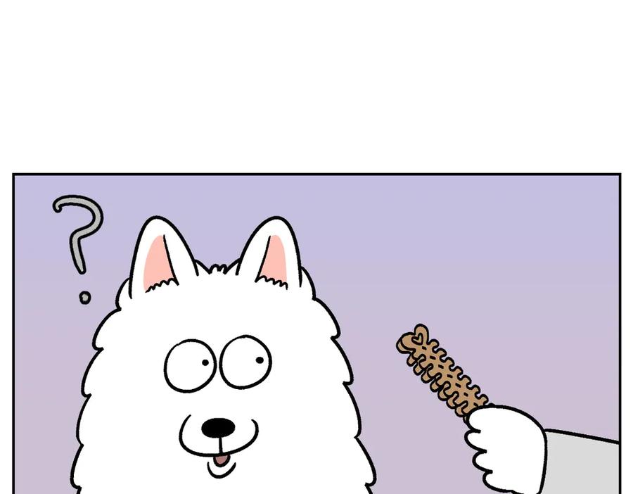 第11话狗咬胶-我的狗子叫棉花-milo+Polarfox（第14张）