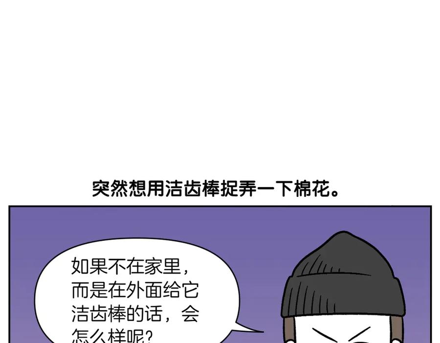 第11话狗咬胶-我的狗子叫棉花-milo+Polarfox（第5张）