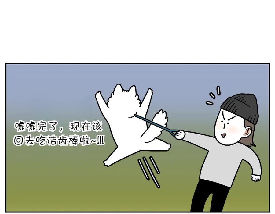 第11话狗咬胶-我的狗子叫棉花-milo+Polarfox（第10张）