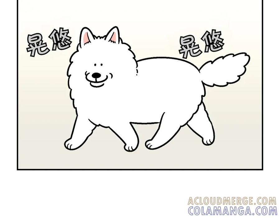 第12话禁止关门-我的狗子叫棉花-milo+Polarfox（第12张）