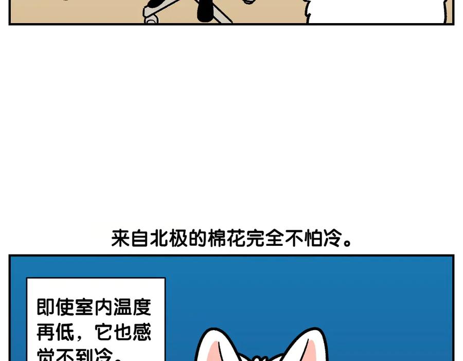 第12话禁止关门-我的狗子叫棉花-milo+Polarfox（第5张）