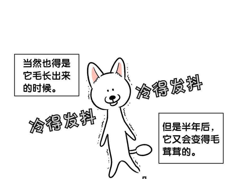第12话禁止关门-我的狗子叫棉花-milo+Polarfox（第7张）