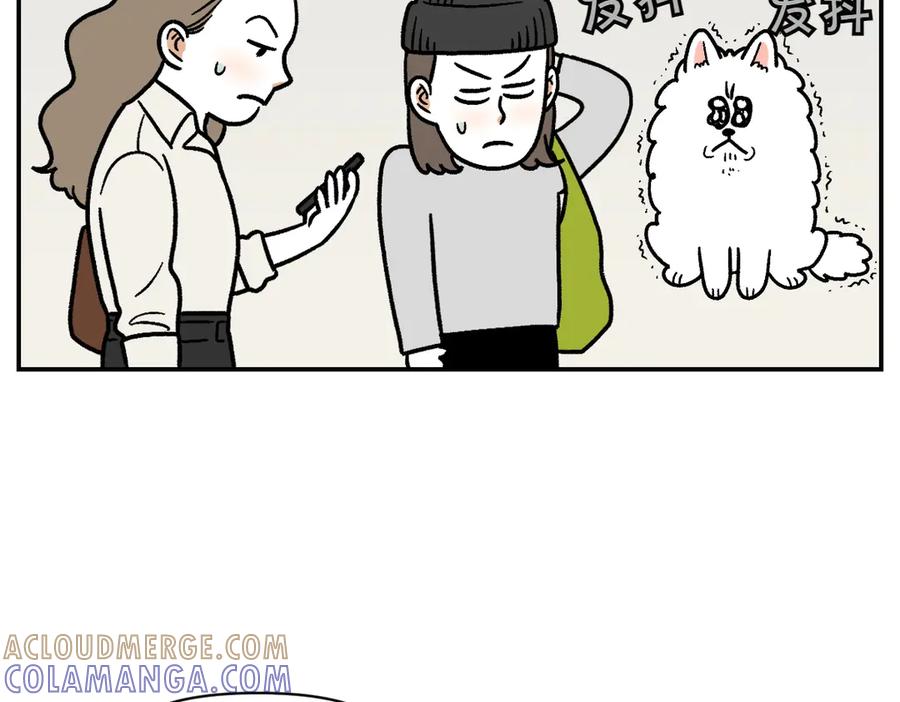 第14话出版社访问记1-我的狗子叫棉花-milo+Polarfox（第15张）