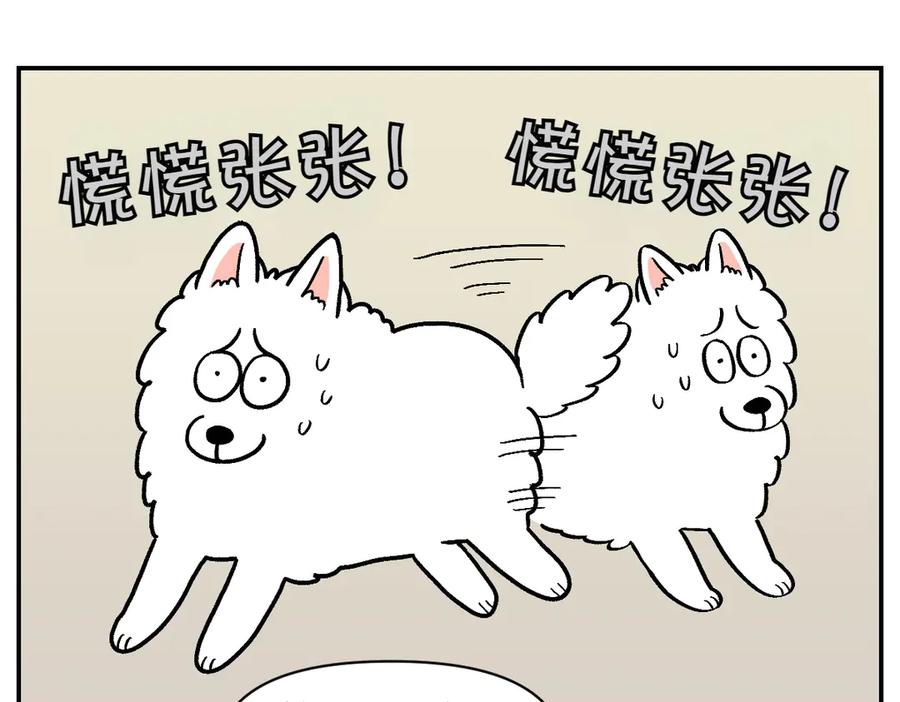 第14话出版社访问记1-我的狗子叫棉花-milo+Polarfox（第11张）