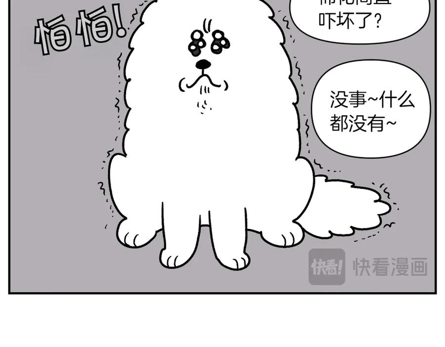 第14话出版社访问记1-我的狗子叫棉花-milo+Polarfox（第13张）