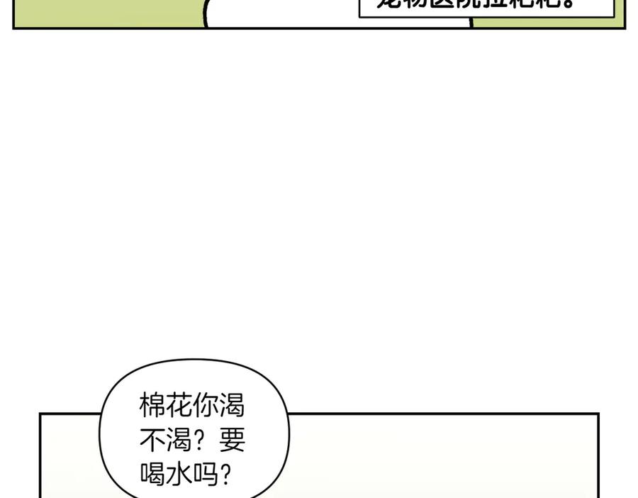 第15话出版社访问记2-我的狗子叫棉花-milo+Polarfox（第10张）