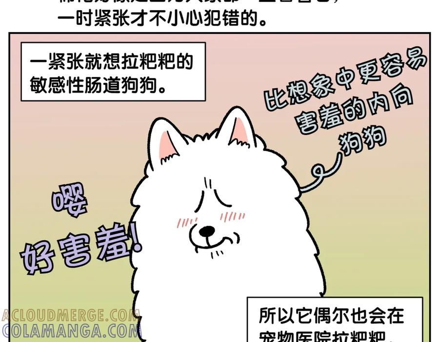 第15话出版社访问记2-我的狗子叫棉花-milo+Polarfox（第9张）