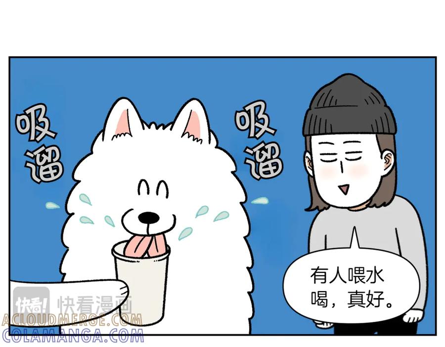 第15话出版社访问记2-我的狗子叫棉花-milo+Polarfox（第12张）
