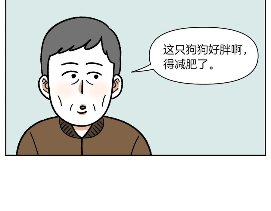 第16话胖狗狗1-我的狗子叫棉花-milo+Polarfox（第7张）