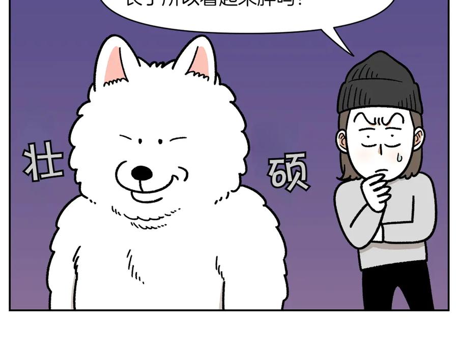 第17话胖狗狗2-我的狗子叫棉花-milo+Polarfox（第7张）