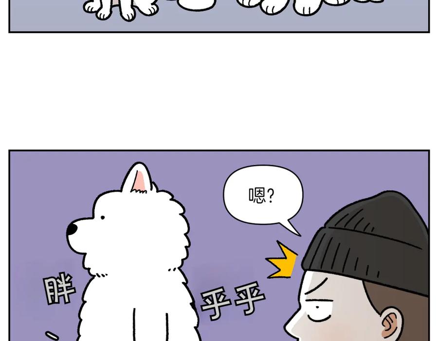 第17话胖狗狗2-我的狗子叫棉花-milo+Polarfox（第5张）