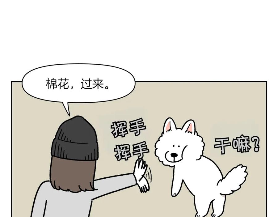 第17话胖狗狗2-我的狗子叫棉花-milo+Polarfox（第8张）