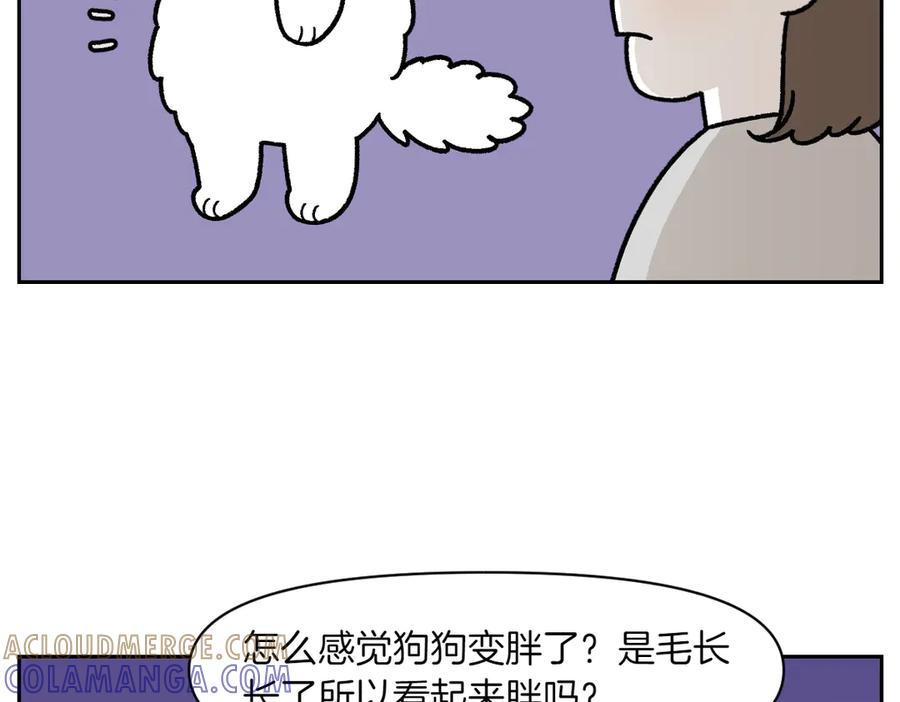 第17话胖狗狗2-我的狗子叫棉花-milo+Polarfox（第6张）