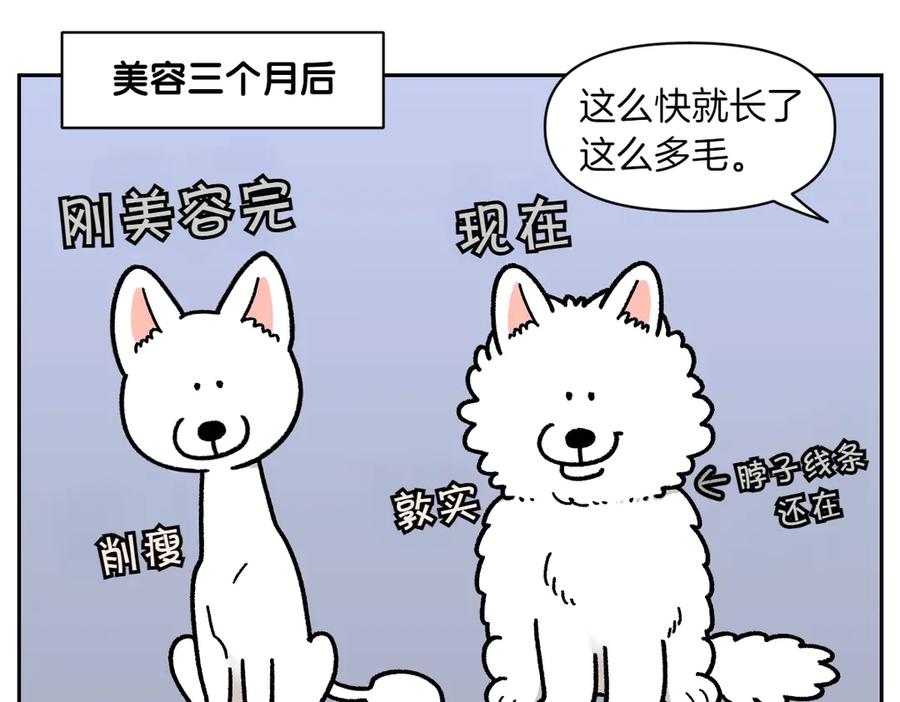第17话胖狗狗2-我的狗子叫棉花-milo+Polarfox（第4张）
