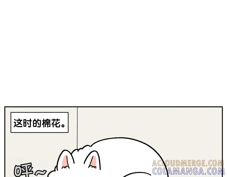 第19话干净饮食-我的狗子叫棉花-milo+Polarfox（第9张）