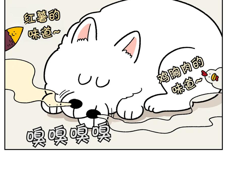 第19话干净饮食-我的狗子叫棉花-milo+Polarfox（第11张）