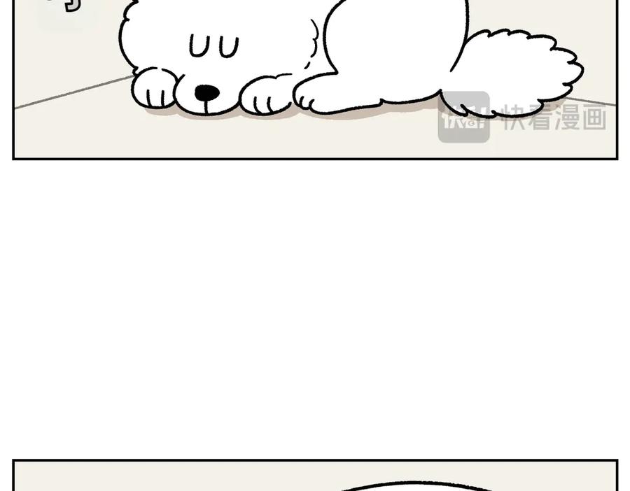 第19话干净饮食-我的狗子叫棉花-milo+Polarfox（第10张）