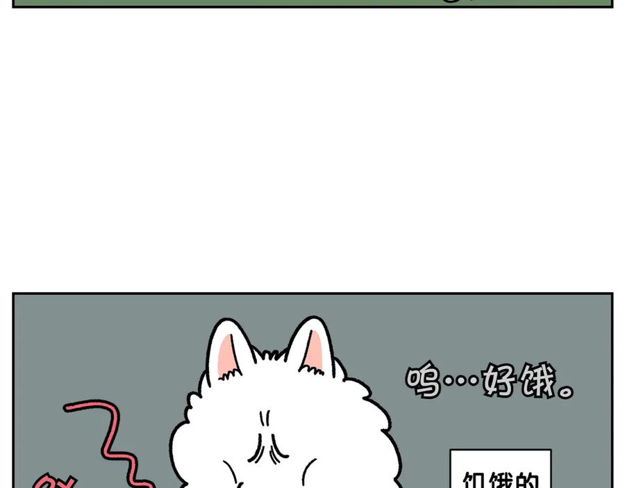 第20话狼的后裔-我的狗子叫棉花-milo+Polarfox（第5张）