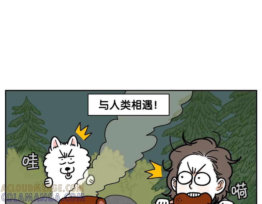 第20话狼的后裔-我的狗子叫棉花-milo+Polarfox（第9张）