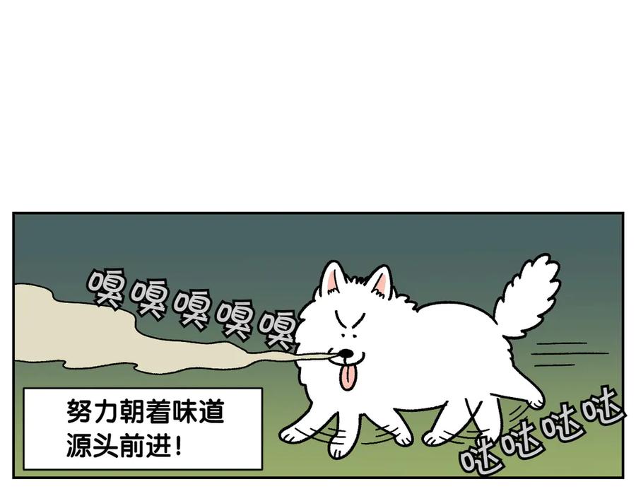 第20话狼的后裔-我的狗子叫棉花-milo+Polarfox（第8张）
