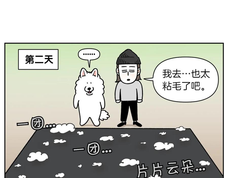 第22话地毯1-我的狗子叫棉花-milo+Polarfox（第8张）