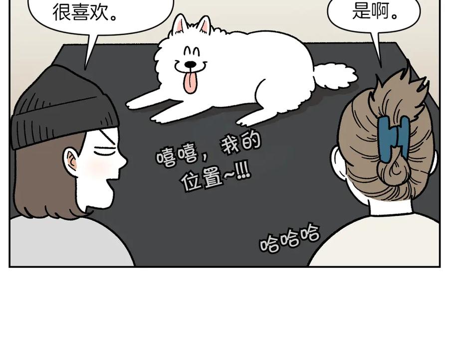 第22话地毯1-我的狗子叫棉花-milo+Polarfox（第7张）