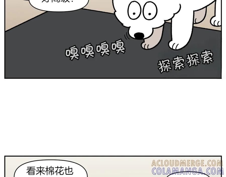 第22话地毯1-我的狗子叫棉花-milo+Polarfox（第6张）