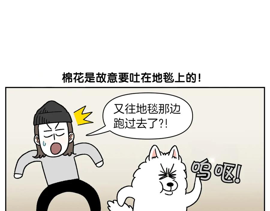 第23话地毯2-我的狗子叫棉花-milo+Polarfox（第5张）