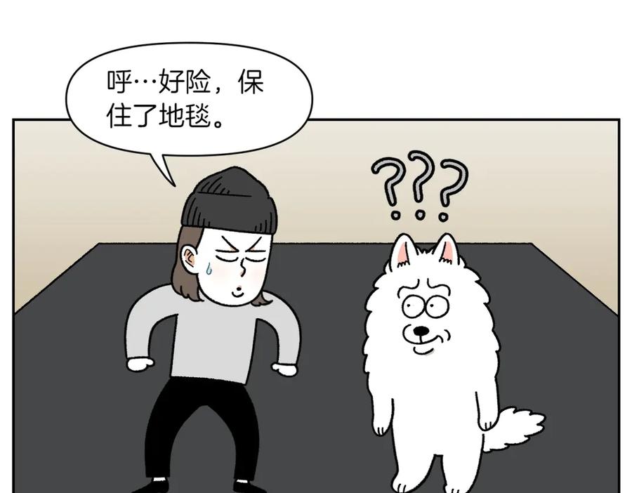 第23话地毯2-我的狗子叫棉花-milo+Polarfox（第8张）