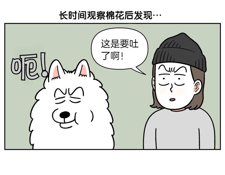 第23话地毯2-我的狗子叫棉花-milo+Polarfox（第4张）