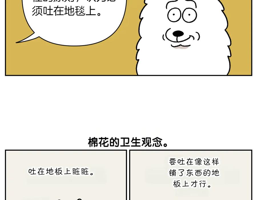 第23话地毯2-我的狗子叫棉花-milo+Polarfox（第10张）