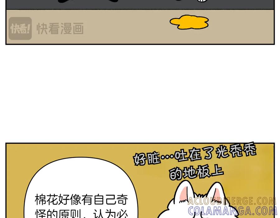 第23话地毯2-我的狗子叫棉花-milo+Polarfox（第9张）