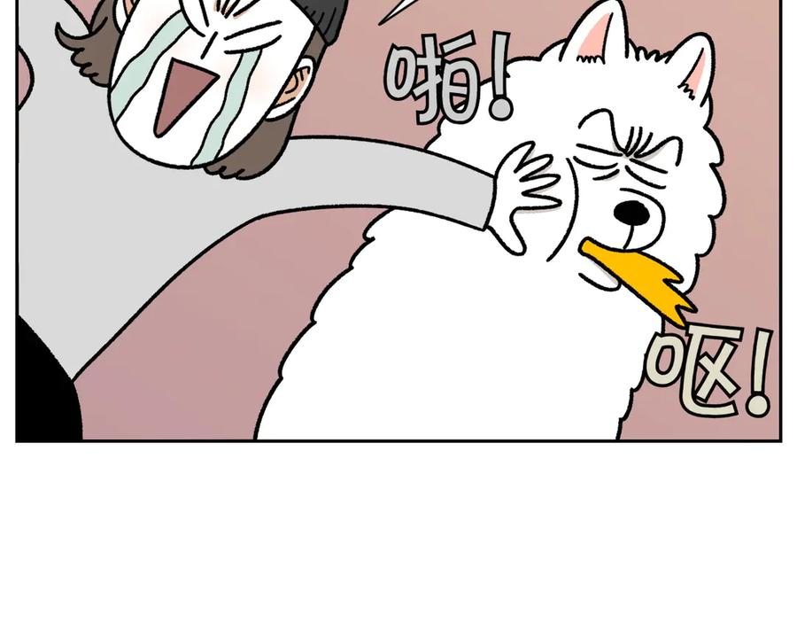 第23话地毯2-我的狗子叫棉花-milo+Polarfox（第7张）