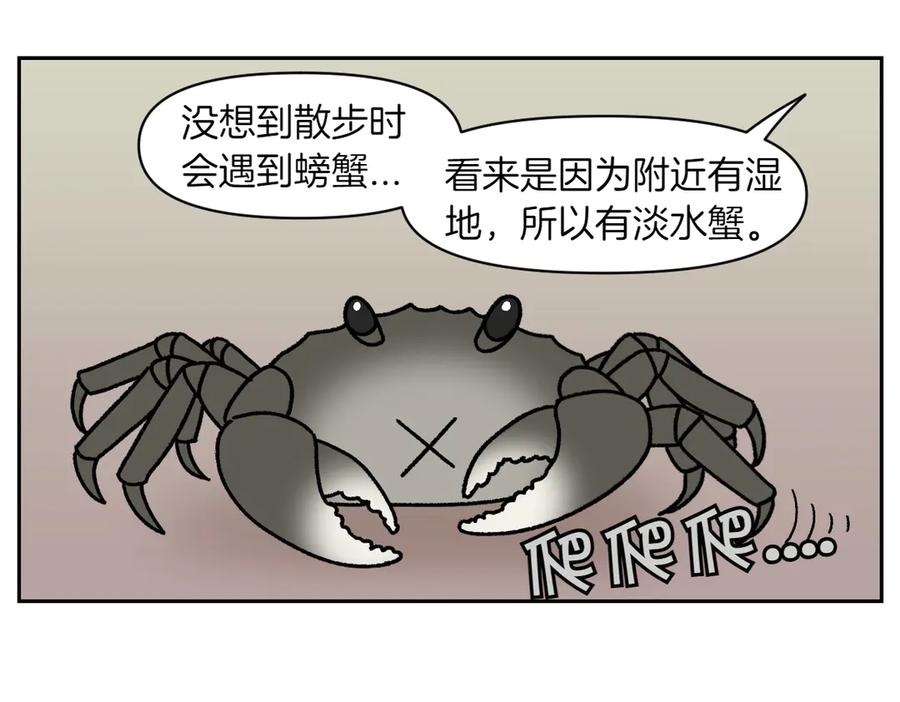 第25话意想不到的动物朋友们-我的狗子叫棉花-milo+Polarfox（第8张）