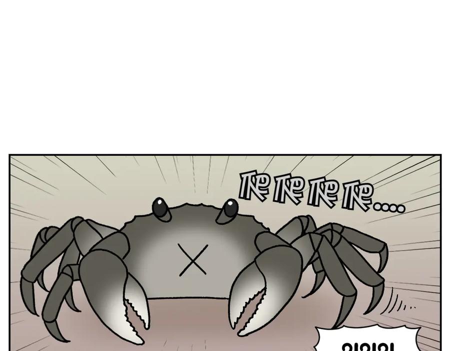 第25话意想不到的动物朋友们-我的狗子叫棉花-milo+Polarfox（第5张）