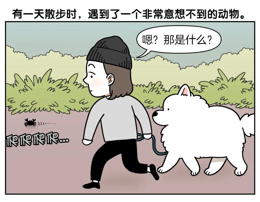 第25话意想不到的动物朋友们-我的狗子叫棉花-milo+Polarfox（第4张）