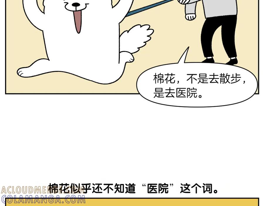 第26话动物医院-我的狗子叫棉花-milo+Polarfox（第6张）