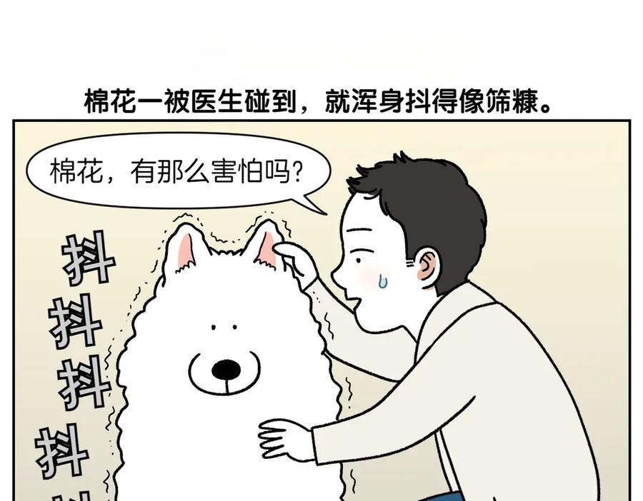 第27话动物医院2-我的狗子叫棉花-milo+Polarfox（第4张）