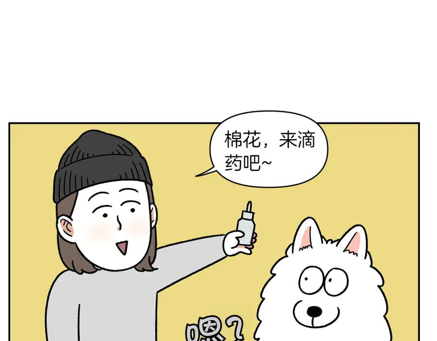 第28话狗狗药-我的狗子叫棉花-milo+Polarfox（第5张）