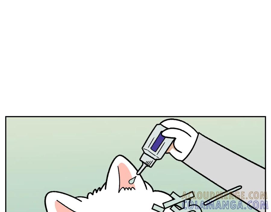 第28话狗狗药-我的狗子叫棉花-milo+Polarfox（第9张）