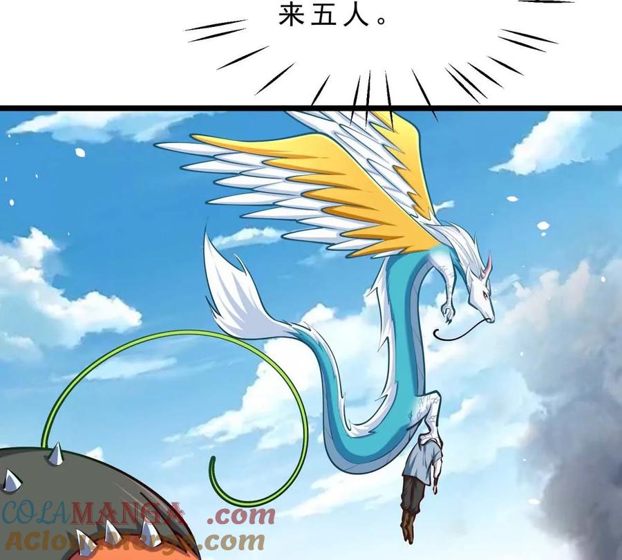 117.jpg